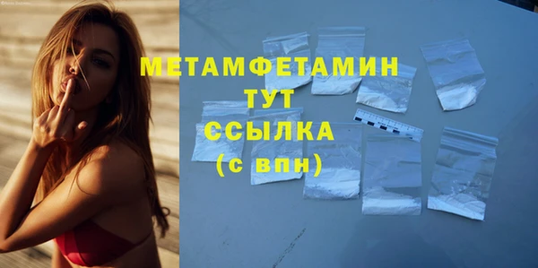 гидра Абаза