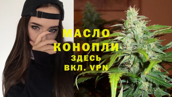 гидра Абаза