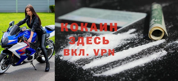гидра Абаза
