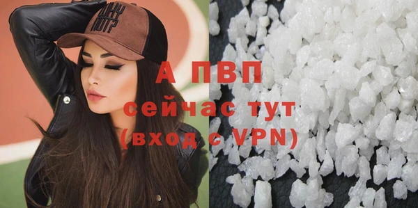 гидра Абаза