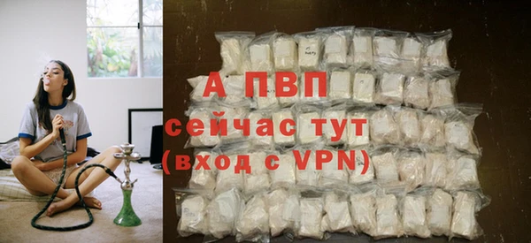 винт Осташков