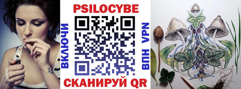 Псилоцибиновые грибы мицелий  наркота  Уржум 